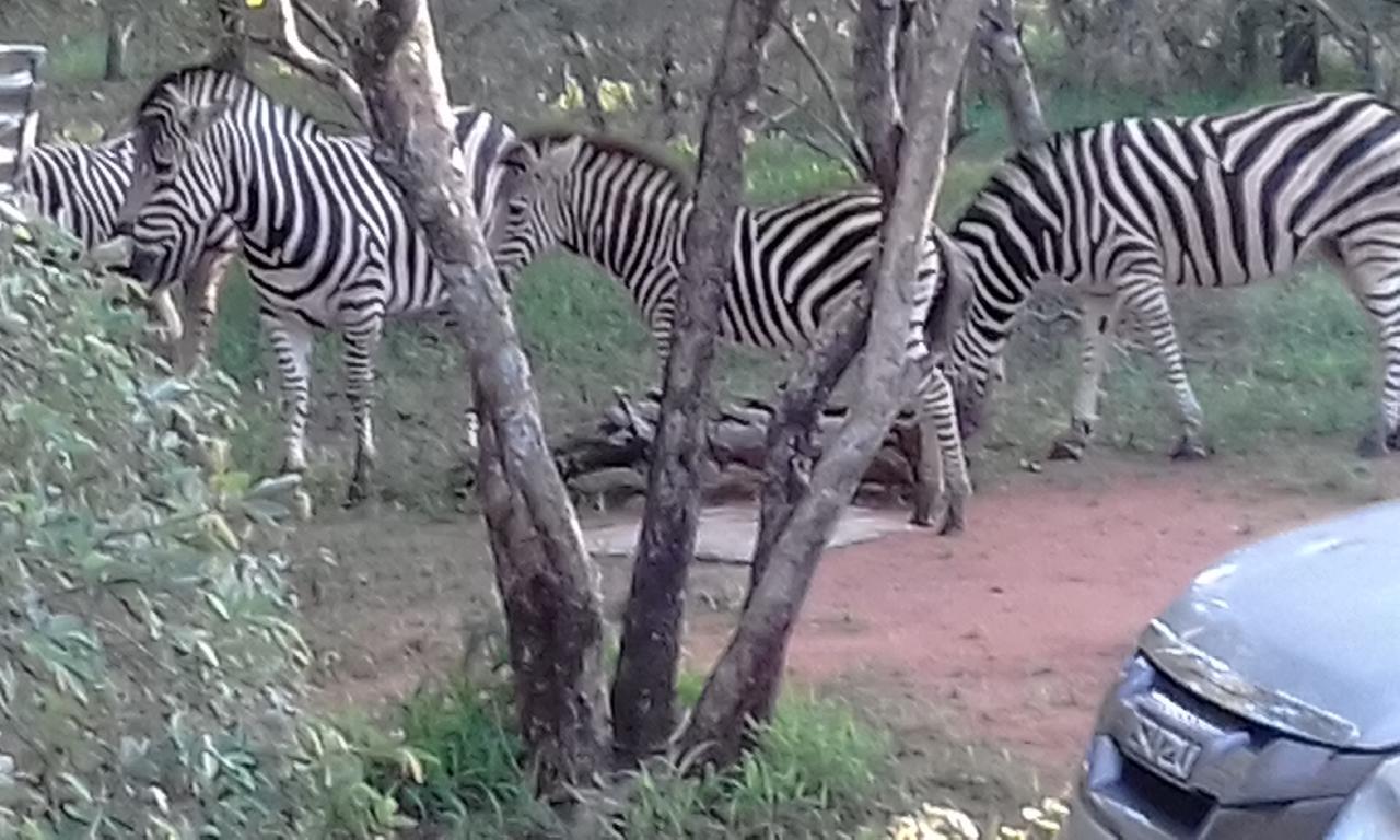 Nanisto Bush Lodge Marloth Park Dış mekan fotoğraf